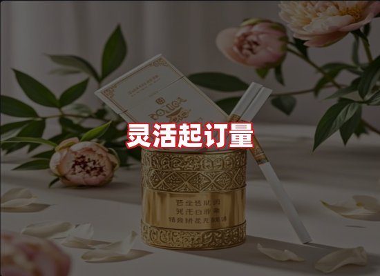 专业团队